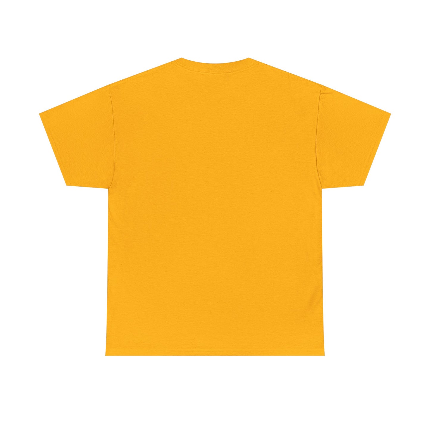 Unisex Heavy Cotton Tee - 'It's Lavi-Oh-sa Not Lario-sah'