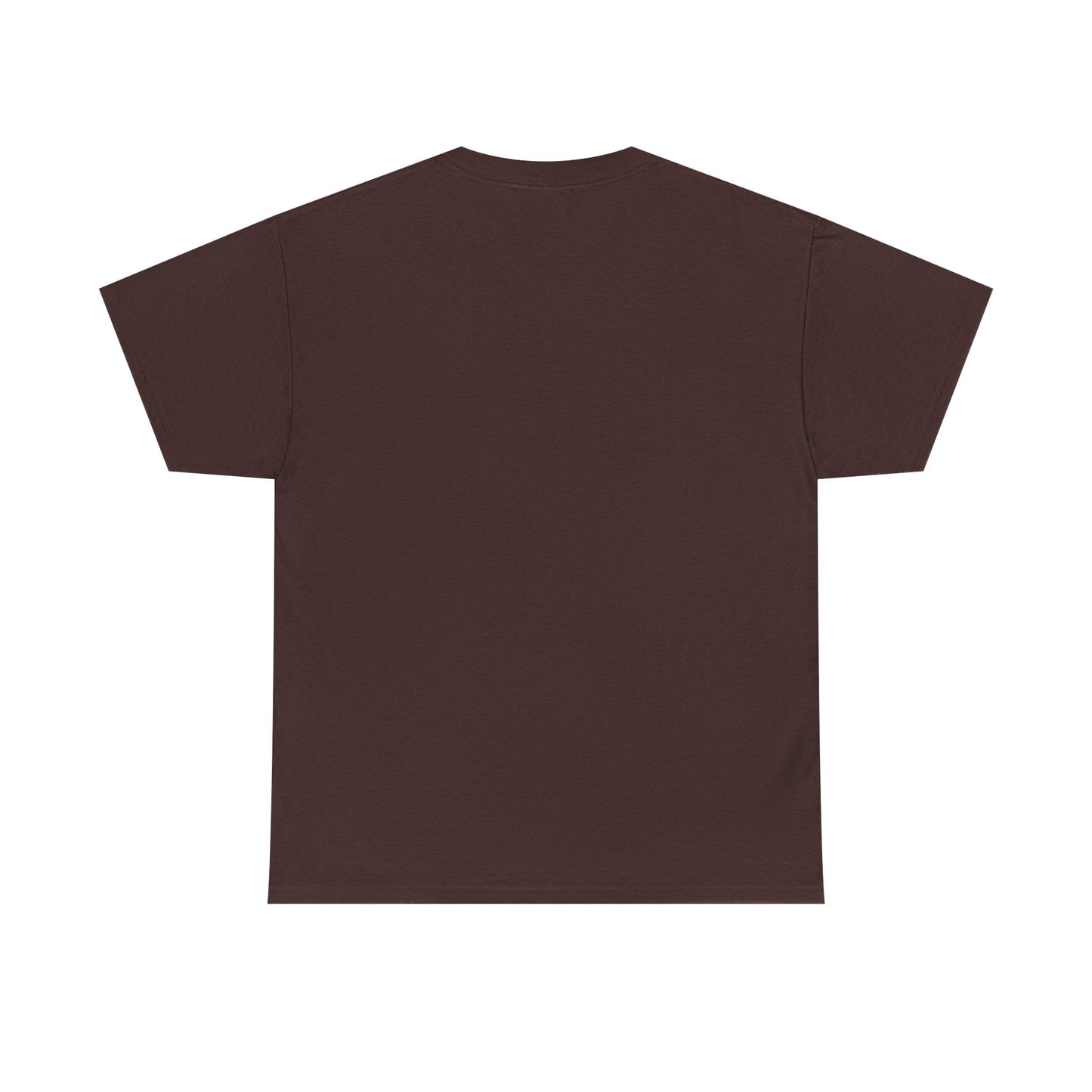 Unisex Heavy Cotton Tee - 'It's Lavi-Oh-sa Not Lario-sah'