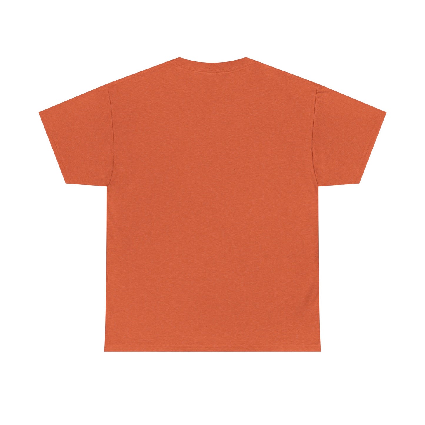 Unisex Heavy Cotton Tee - 'It's Lavi-Oh-sa Not Lario-sah'