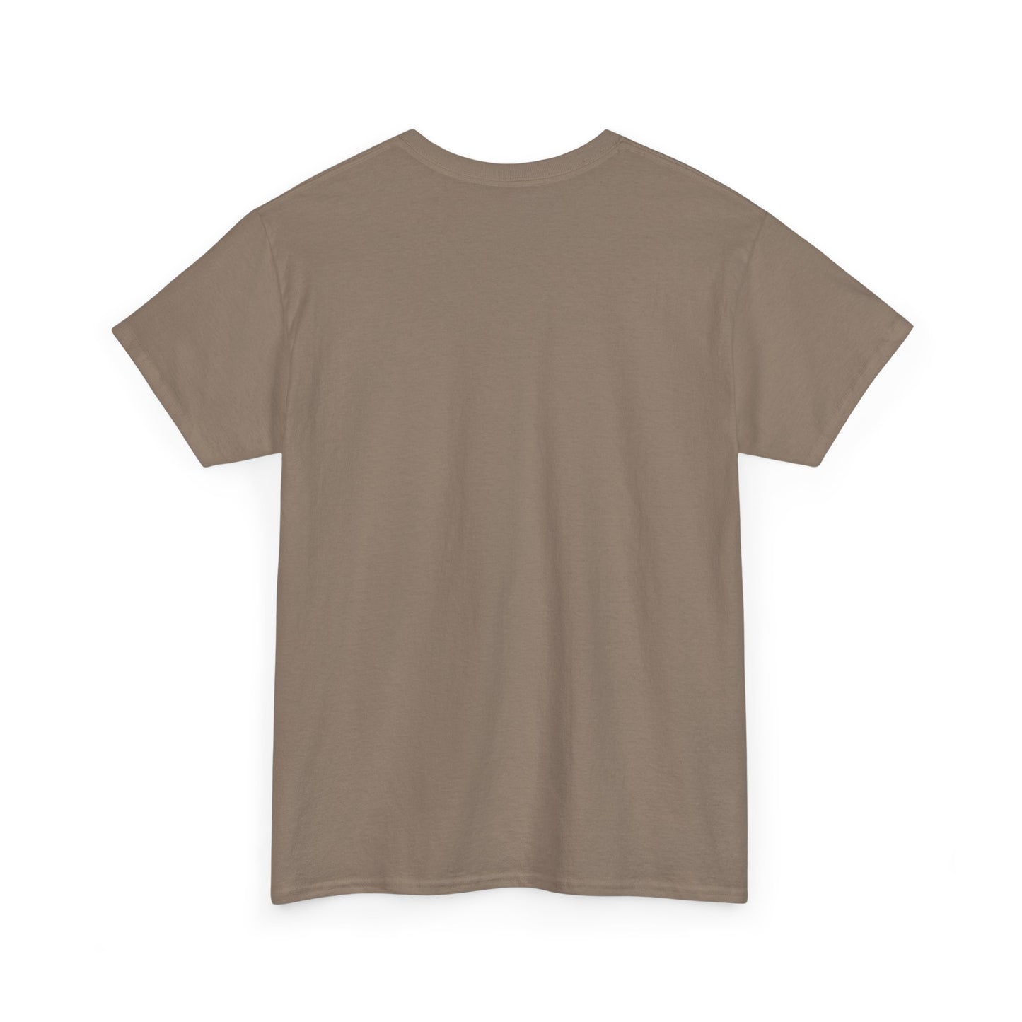 Unisex Heavy Cotton Tee - 'It's Lavi-Oh-sa Not Lario-sah'