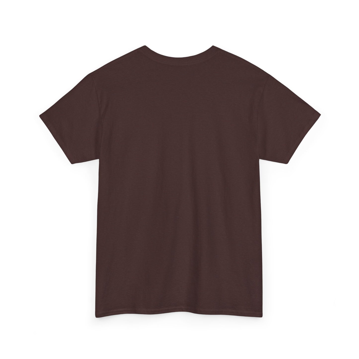 Unisex Heavy Cotton Tee - 'It's Lavi-Oh-sa Not Lario-sah'