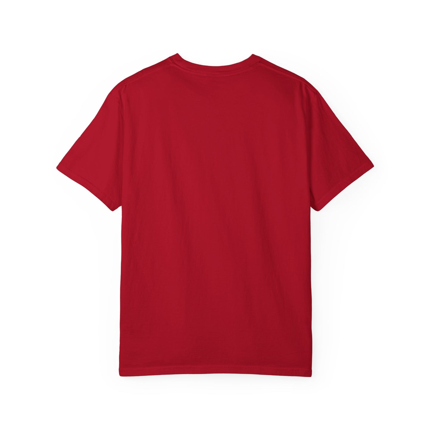 Loony Luna | Harry Potter | Unisex Garment-Dyed T-shirt