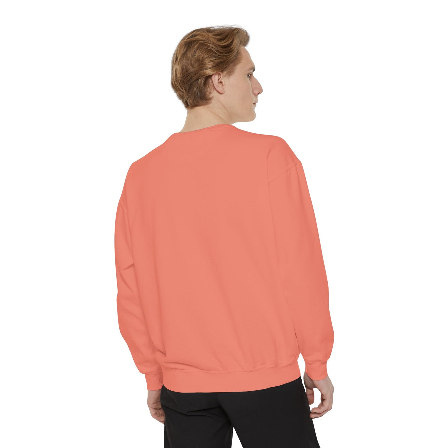 Phoenix and the Ashes Unisex Garment-Dyed Sweatshirt