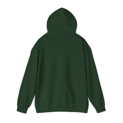 Books Are Never Enough Unisex Heavy Blend™ Hoodie for Book lovers